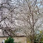 Ξενοδοχείο 7 Uvas