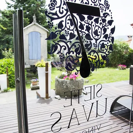 Hotel 7 Uvas
